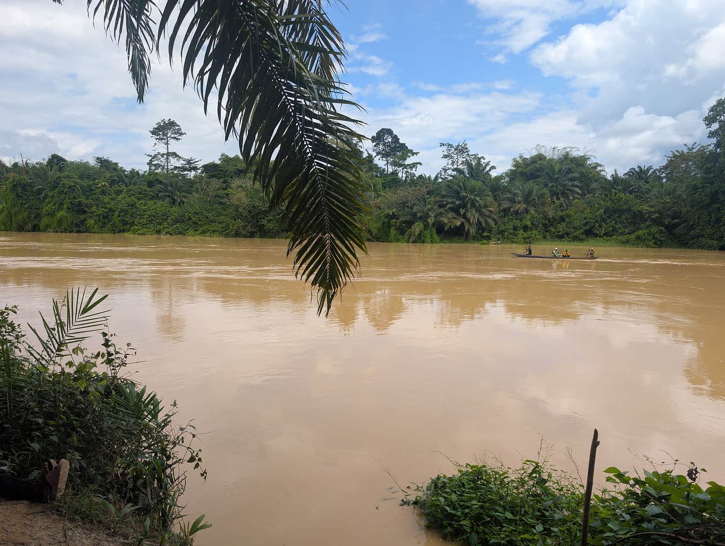 The River Pra running brown with sediment between forested banks